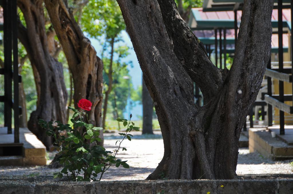 Camping Village Riviera Numana Εξωτερικό φωτογραφία